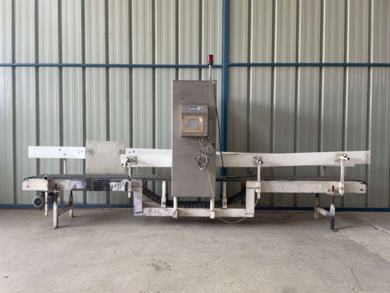 罗马—金属探测器