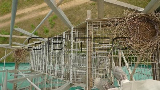 THORWESTEN 3 サイロ機械