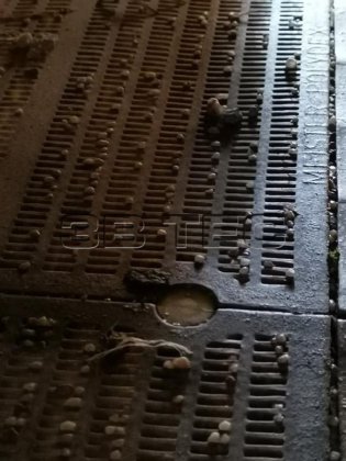 ブローエ湿式スクリーニングプラント