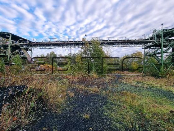 BÖGER 400/1200コンベアベルトおよびコンベアベルトシステム