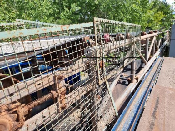 コンベアベルトとコンベアベルトシステム