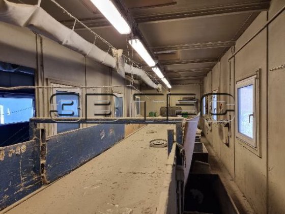 PPK分拣设备 分拣设备