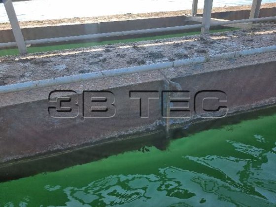 ROHR フローティングベルトコンベアとコンベアベルトシステム