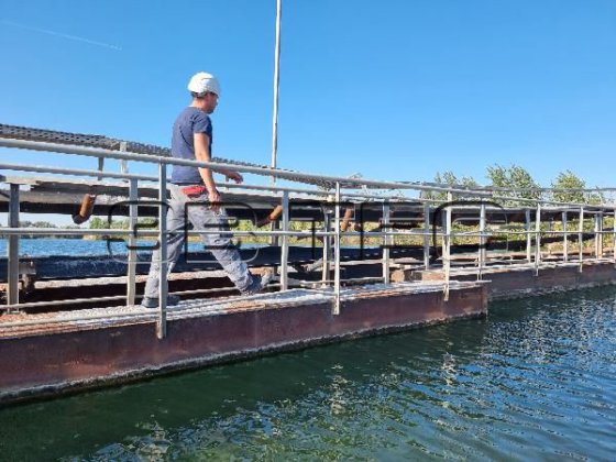 ROHR フローティングベルトコンベアとコンベアベルトシステム