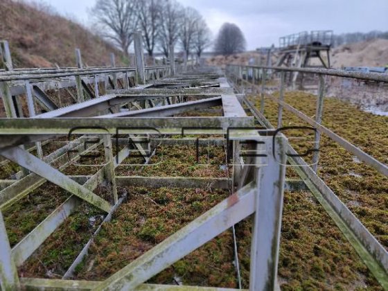 150m/1000mmコンベヤベルトとコンベヤベルトシステム
