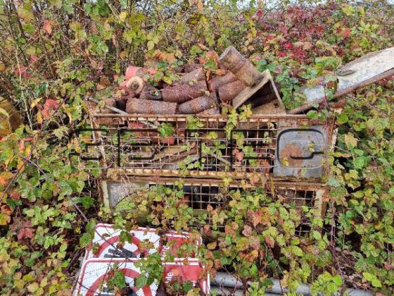 200 m/650 mm 输送带和输送带系统