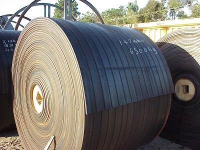 Matting Conveyor Belting in United