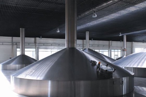 糖化和糊化系统