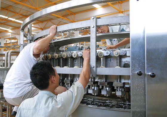 Maintenance and Support