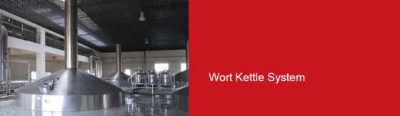 Wort Kettle System