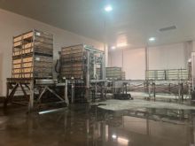 2010 MAREL Poultry Handling Equipments