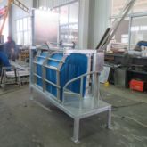 Ovejas Vivas Cabra Impresionante Caja