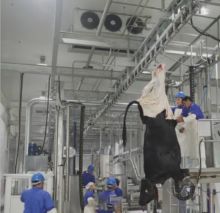ターンキープロジェクト 牛肉屠殺自動搬送レール加工機 牛の屠殺設備