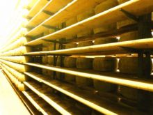 Cheese Aging Racks