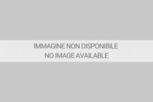 Aisi 303ブレードシリーズ