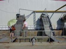 tomato paste residue