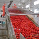 COFCO Tunhe Tomato Paste Equipment