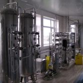 Dried blueberry processing equipment