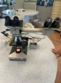 Microscope with dual viewing bridge