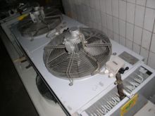 ゴッドハート KOAL 5250