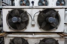 ヘルプマン LA 97