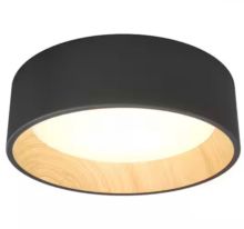 flush Mount Ceiling