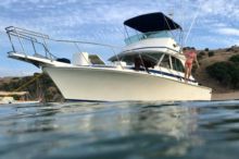 1980 Bertram 35 Flybridge