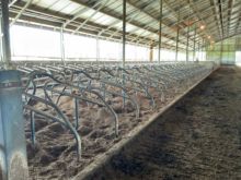 Mampara de cubículo