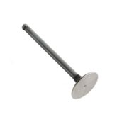 Intake Valve fits Massey Ferguson