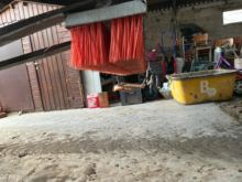 stabilisator borstels