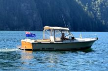 1987 Limestone 24 Runabout |