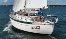 1986 Ta Shing Baba 35