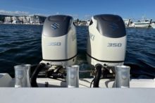 2019 Everglades DF350A