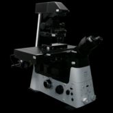 Nikon Eclipse TI2-E Inverted Phase