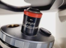 Zeiss Axiovert S100 Microscope with
