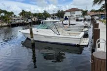 2002 Pursuit 3000 Express