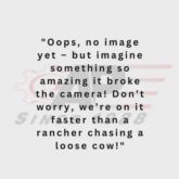 Concave Set; John Deere