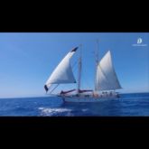 2005 Atlantic Rose