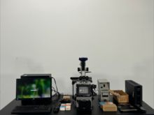 Zeiss Large Transmitted Light Research