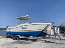 2004 World Cat 250DC