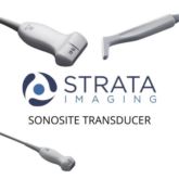 SonoSite L38v
