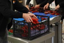 Accessories & customization - Complete