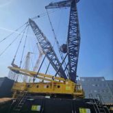 Good condition faumos Brand Crawler