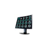 Clinton CL2000 LCD Panel