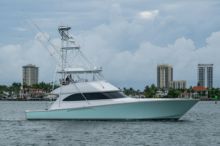 EBITDA de Viking 2009