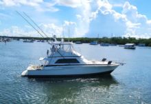 1989 Bertram Trophy Hunter