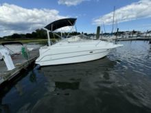 2002 Maxum Peyton Rose