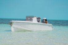 2024 Dynamic 25' (7.62 m)