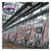 3-5 Pig Per Day Pig