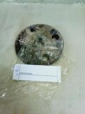 FLANGE ENGCCS20190601